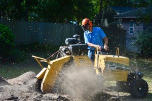 Doug with Acorn Stump Grinding in Action