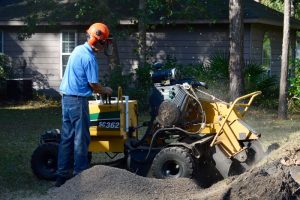 Doug with Acorn Stump Grinding in Action 2