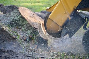 Closeup Stump Grinding